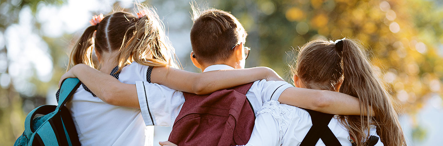 Beard of Directors Header Beard of Directors Header