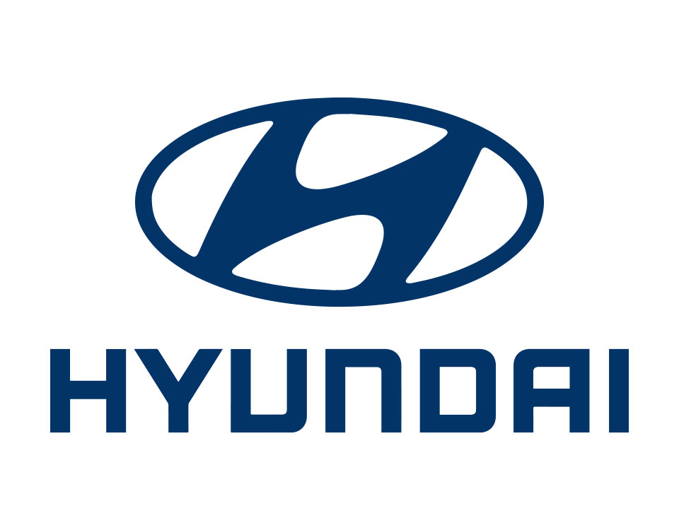 FVSF Partner Hyundai